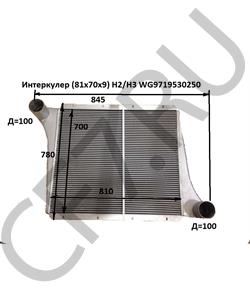 WG9719530250 Интеркулер H2/H3 HOWO в городе Ростов-на-Дону