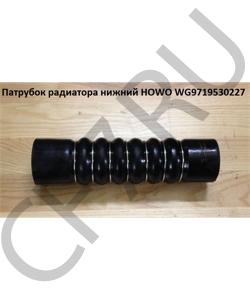 WG9719530227 Патрубок радиатора нижний  HOWO в городе Ростов-на-Дону