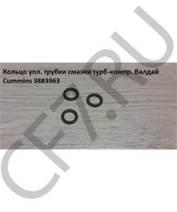 3883963 Кольцо упл. трубки смазки турб-компр. Валдай Cummins CUMMINS FOTON в городе Ростов-на-Дону